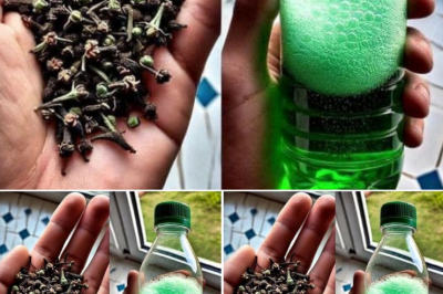 Revitalize Your Bathroom and Banish Urine Odors Naturally with This Easy DIY Spray